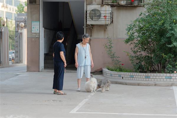 為什么有些助聽器會失真？